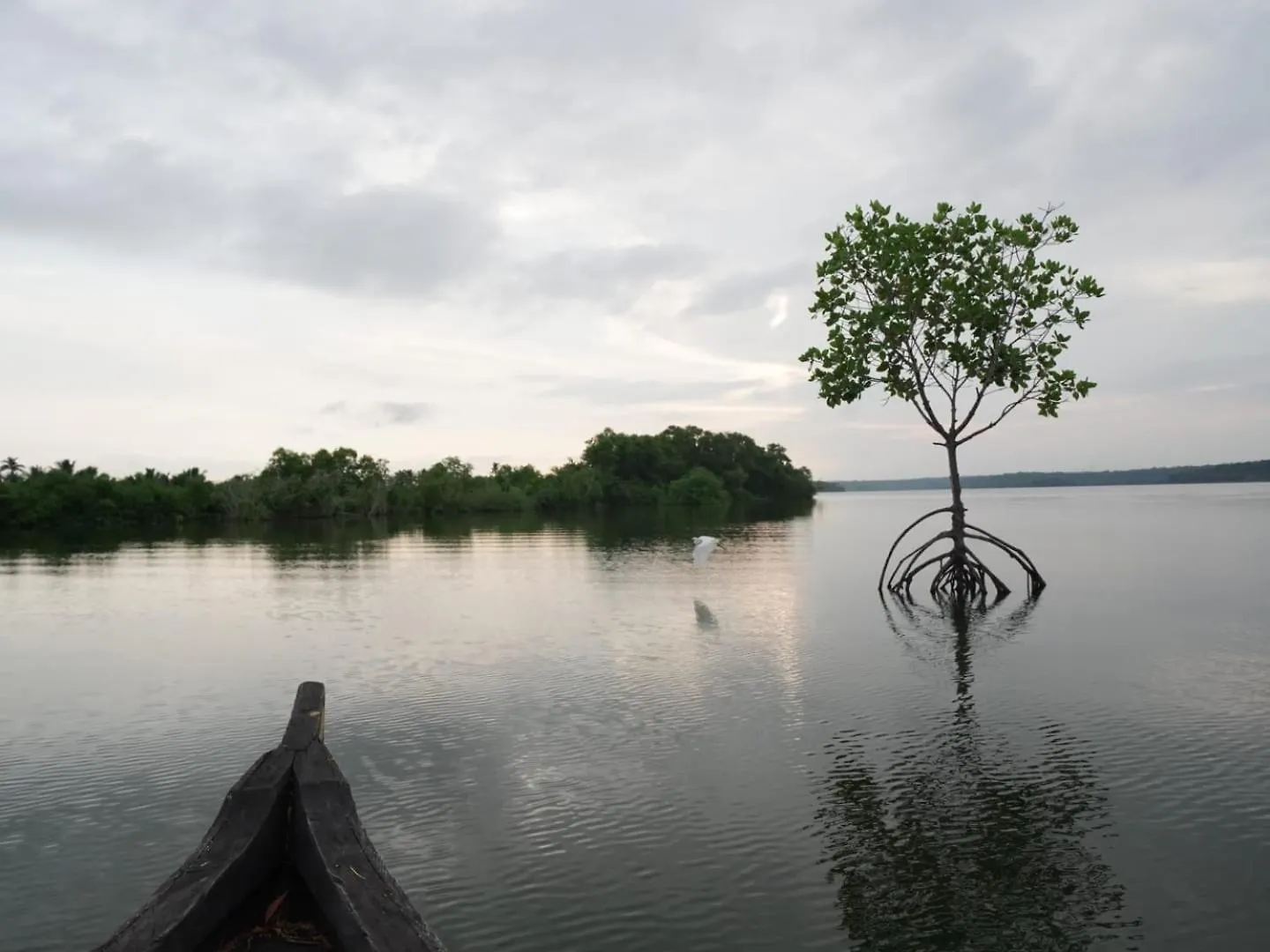 Bliss Homestay Munroe Island Mundrothuruth
