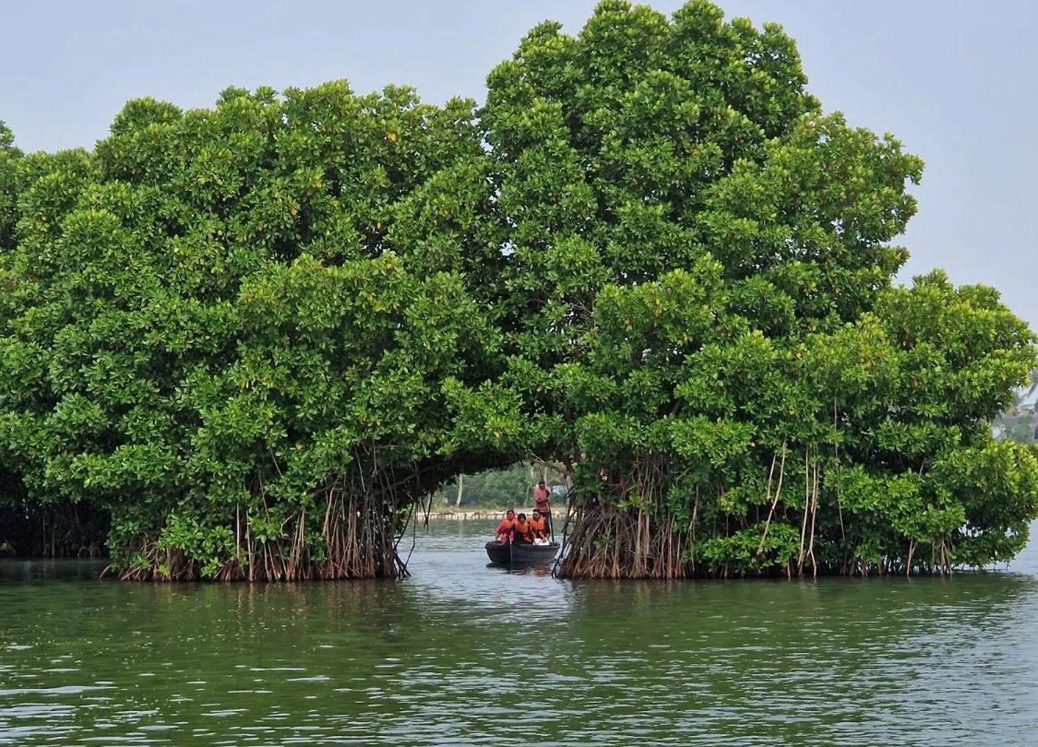 Bliss Homestay Munroe Island Mundrothuruth India
