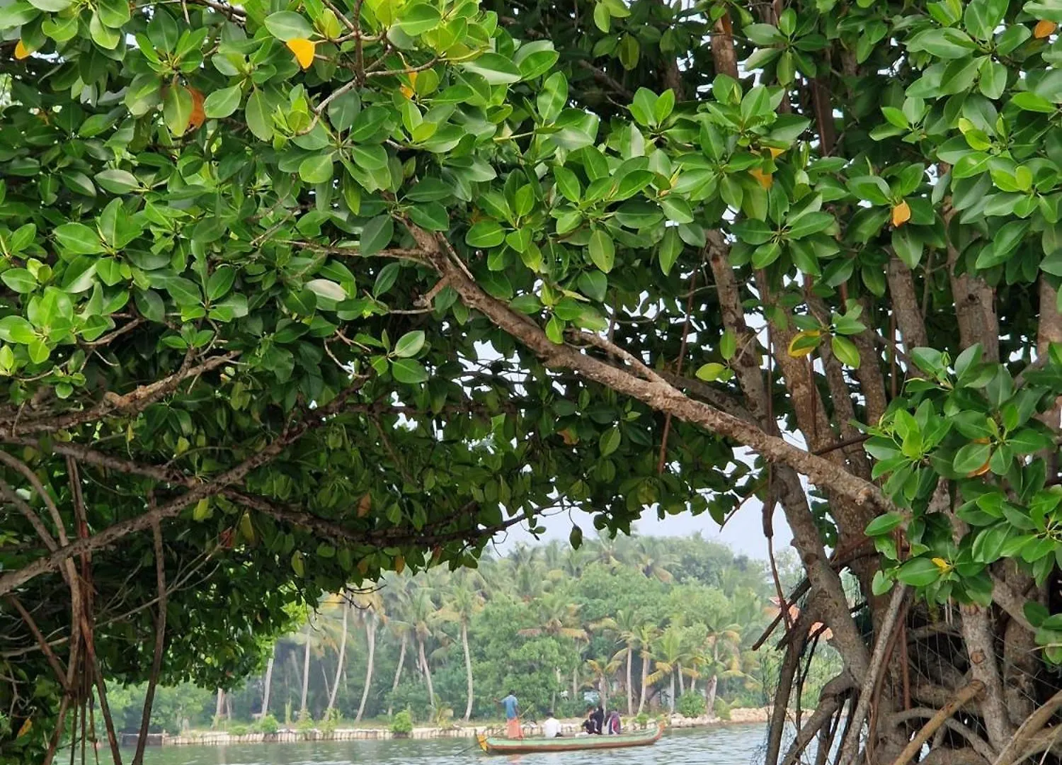 Bliss Homestay Munroe Island Mundrothuruth 0*,  India