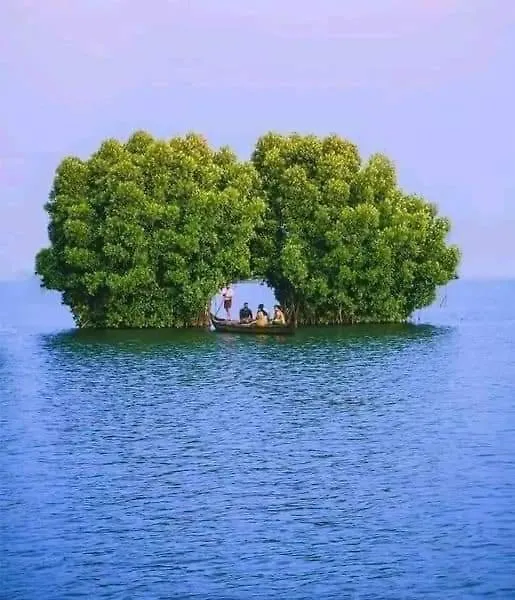 Bliss Homestay Munroe Island Mundrothuruth